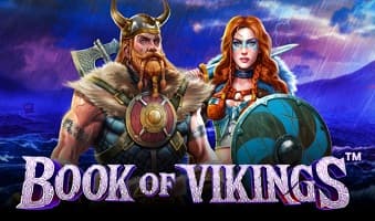 Demo Slot Book of Vikings