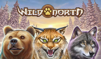 Slot Demo Wild North